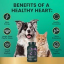 vetriscience-omega-healthy-heart-easy-op-5.jpg