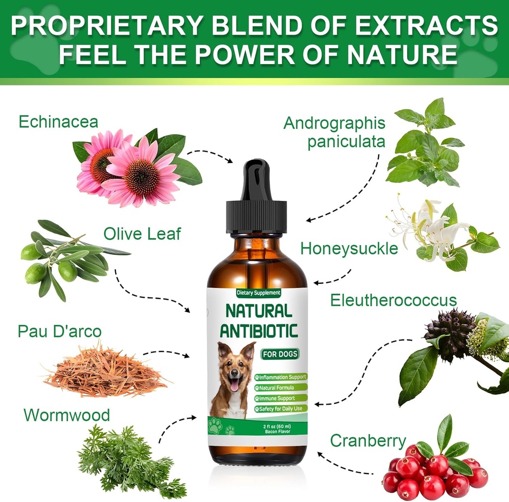antibiotics-for-dogsnatural-antibiotics--3.jpg