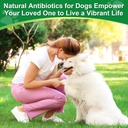 antibiotics-for-dogsnatural-antibiotics--6.jpg