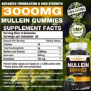 1-pack-sugar-free-mullein-gummies---lung-2.jpg