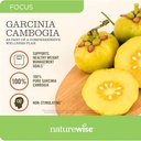 naturewise-garcinia-cambogia---60-hca-co-5.jpg
