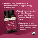 dr-mercola-organic-fermented-beets---nit-4.jpg