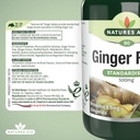 natures-aid-ginger-500mg-5.jpg