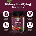 advanced-kidney-support-supplement---kid-4.jpg