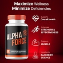 alpha-force-pack-of-3-2.jpg