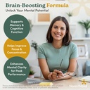 brain-supplements-for-memory-and-focus-n-3.jpg