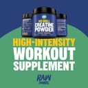 no-bull-creatine-powder-bulk-supplements-2.jpg