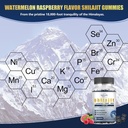 shilajit-gummies-for-men-fulvic-acid-pur-6.jpg