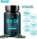 premium-stem-cell-supplements-1000mg-360-3.jpg