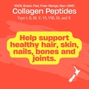 frezzor-collagen-peptides-powder-reduces-4.jpg
