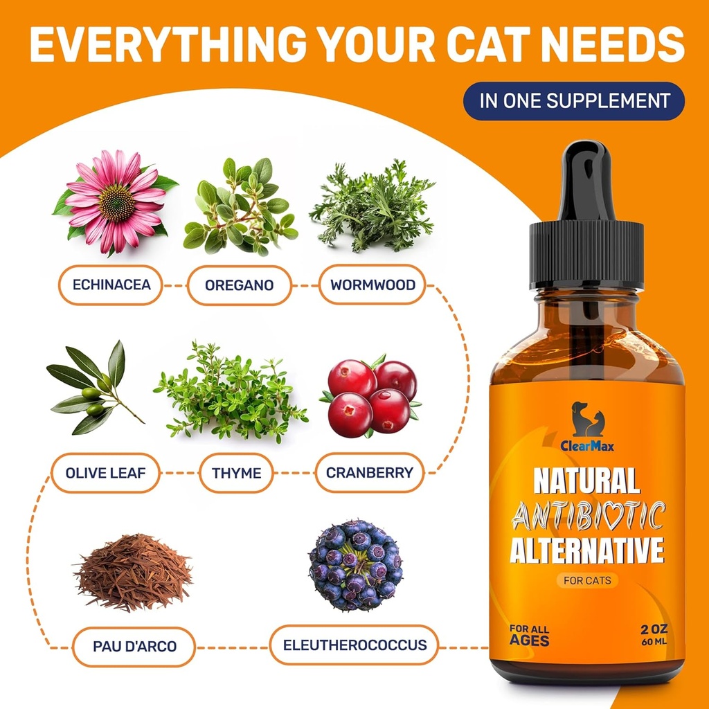 cat-antibiotic-to-help-with-cough-allerg-2.jpg