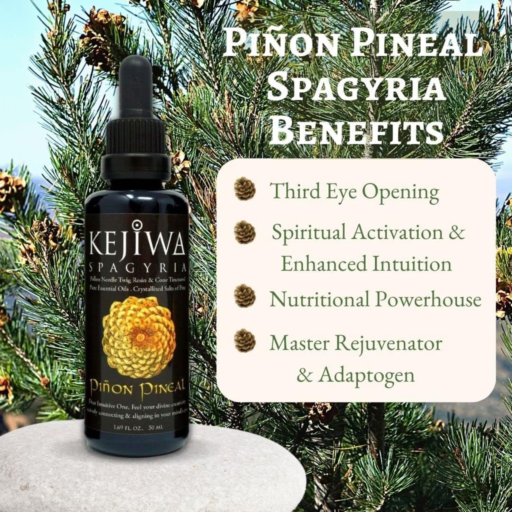 kejiwa-pinon-pineal-spagyria-wild-harves-2.jpg