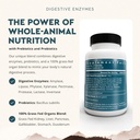 ancestral-supplements-digestive-enzymes--4.jpg