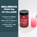 ancient-nutrition-collagen-peptides-powd-3.jpg
