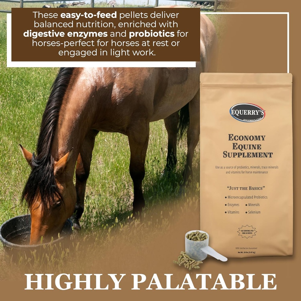 equerrys-economy-equine-supplement---hor-3.jpg