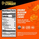 honey-stinger-organic-orange-blossom-ene-2.jpg