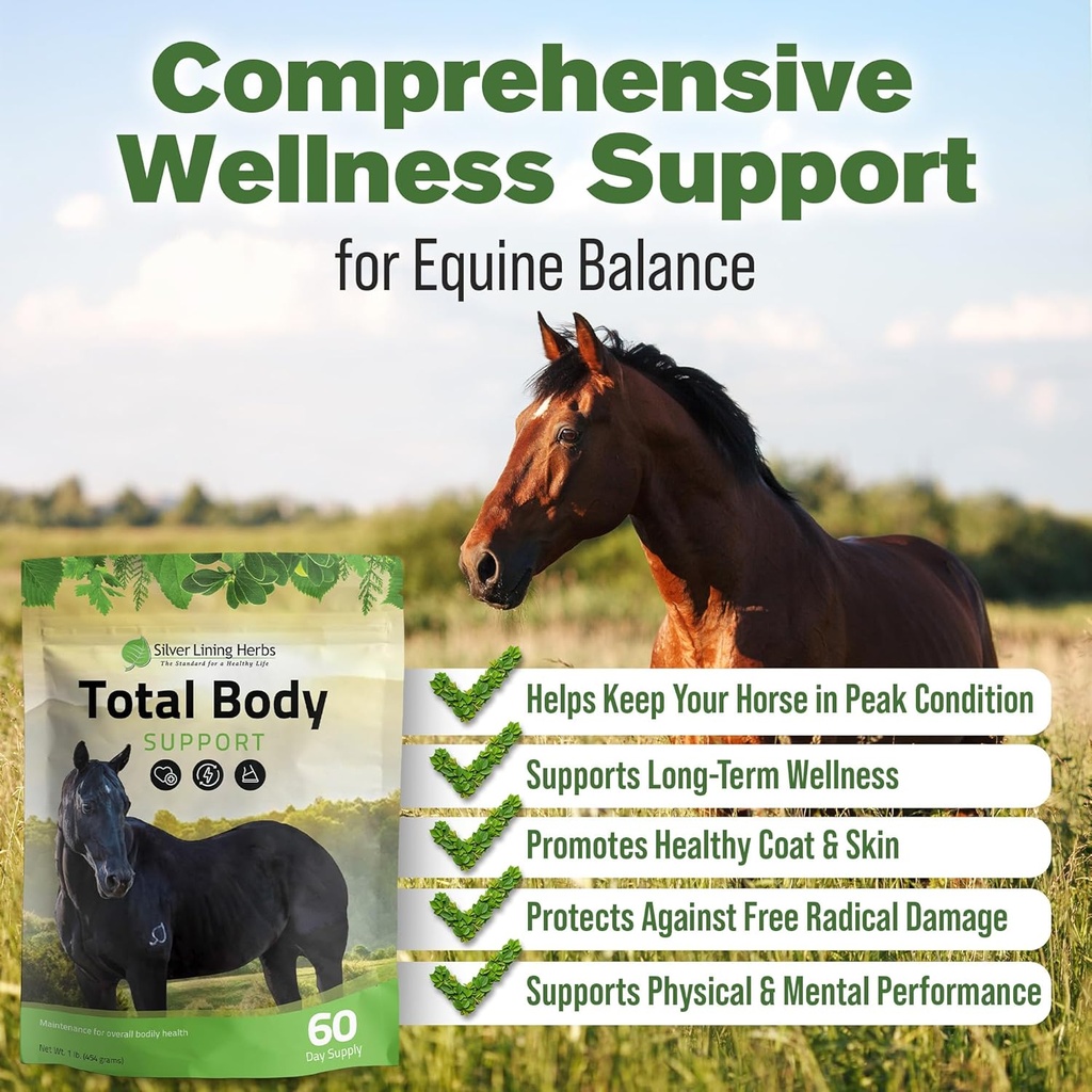 silver-lining-herbs-total-body-horse-sup-2.jpg