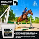 purica-recovery-extra-strength---equine--5.jpg
