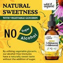 wild-organic-echinacea-goldenseal-liquid-6.jpg