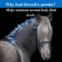 su-per-stress-ex-horse-electrolyte-suppl-5.jpg