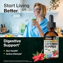 bio-krauter-cayenne-pepper-drops-684-mg--3.jpg