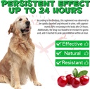 dog-uti-treatment---urinary-tract-infect-5.jpg