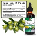 natures-answer-olive-leaf-extract-alcoho-3.jpg