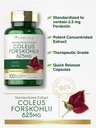 carlyle-coleus-forskohlii-capsules-625mg-3.jpg