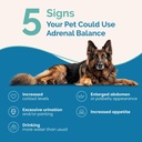 pranapets-adrenal-balance-for-dogs-with--2.jpg