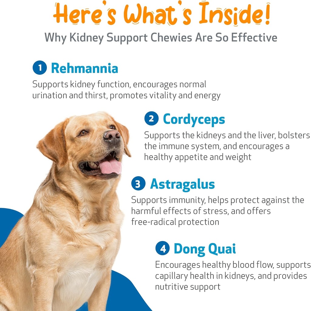 pet-wellbeing-kidney-support-chewies-for-5.jpg