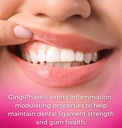 gingiphase-natural-herbal-dental-support-3.jpg