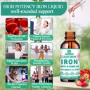 liquid-iron-supplement-wvitamin-c-b-comp-2.jpg