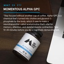 momentous-alpha-gpc-supplement---cogniti-3.jpg