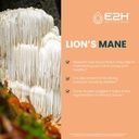 e2h-liquid-chlorophyll-and-lions-mane-mu-2.jpg