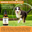 quercetin-for-dogs-dogs-quercetin-supple-6.jpg