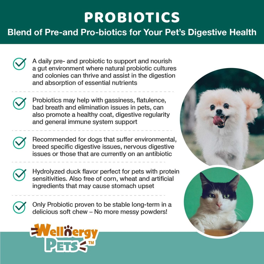 wellnergy-daily-probiotic-prebiotics-sof-5.jpg