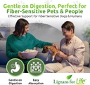 lignans-for-life-hmr-lignans-for-dogs-40-5.jpg