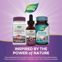 natures-way-premium-formula-echinacea-go-6.jpg
