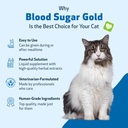 pet-wellbeing-blood-sugar-gold-cats---ho-5.jpg