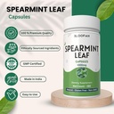 spearmint-leaf-capsules-1000mg-powder-na-5.jpg