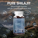 shilajit-gummies-600mg-shilajit-suppleme-3.jpg