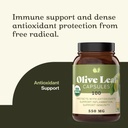 complete-natural-products-organic-olive--5.jpg