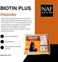 naf-biotin-plus-refill-2.jpg