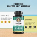 ancient-bliss-organic-irish-sea-moss-pil-3.jpg