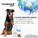 thornevet-canine-geriatric-basics-senior-2.jpg