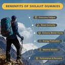 shilajit-gummies-1000mg-pure-himalayan-s-4.jpg