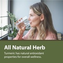 tattvas-herbs-turmeric-curcumin-500-mg-h-6.jpg