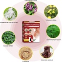 24pcsbox-herbal-lymph-nodes-patchlymphat-2.jpg