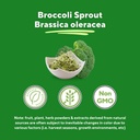 vitapia-organic-broccoli-sprout-broccoli-5.jpg