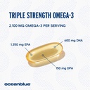 oceanblue-professional-omega-3-2100-120--4.jpg